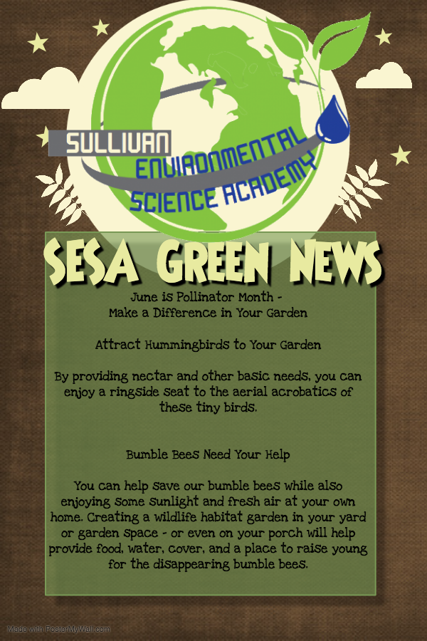 SESA Green News